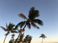 Luxury Home, A/C, Heated Pool, Gourmet Kitchen, 4BR 6 Bath, 3 Master Suites.