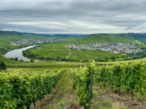 Fewo am Nussbach - Nature Park Südeifel-Teufelsschlucht-Eifel-Mosel