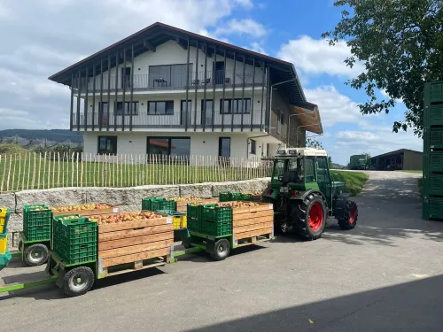 Vacation apartment | Modern | View | Lake Constance hinterland