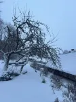 Stilvolle Blockhütte mit Kaminofen - Nähe Nürburgring, Ahrtal und