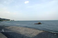 Dancing Whale Pension