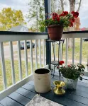 Charming 2-bedroom house in historical Galesburg neighborhood