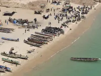 Ecolodge de Palmarin Hotels in Fatick