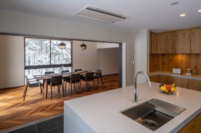 その他 Jade Rabbitの写真