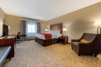 Comfort Inn & Suites Hotels in Michigan City
