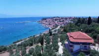 Sofia Apartments - Beach