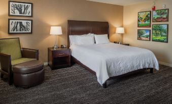 Hilton Garden Inn St. Louis Airport