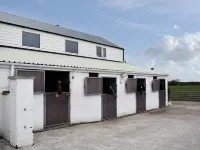 Rose Cottage Captivating 1-Bed Cottage in Bangor - Bãi đậu xe