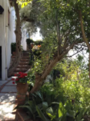 Villa Greta Hotel Rooms & Suites