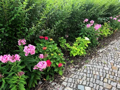 Apartment on the Elbe Ferry - Apartment for 2 - 3 People Hotels in Laubegast