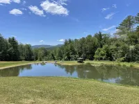 Bright Modern Secluded Vermont Home: Fish Pond + Trails, 5 Mins to Williamstown