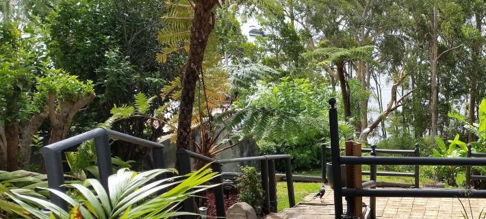 Amore at the Beach Hotels in Port Stephens