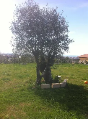 La Dimora dei 5 Sensi Hotel di Pontecagnano