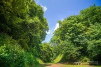 Berberys Park Hotel Hotels in Pulawy
