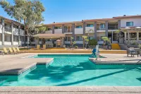 3 Palms Tucson North Foothills - Pools