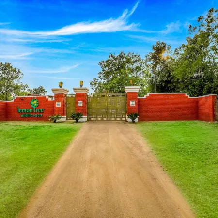 Lemon Tree Wildlife Resort, Bandhavgarh