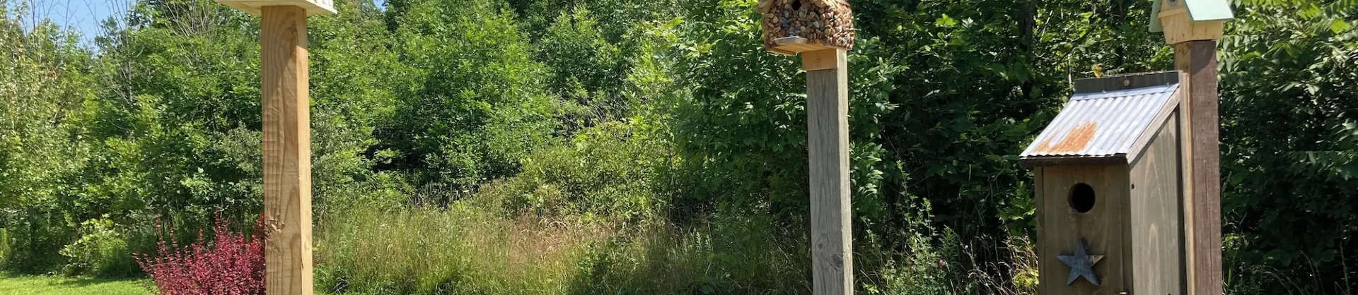 Homestay di lusso: le opzioni più popolari vicino a Romulus
