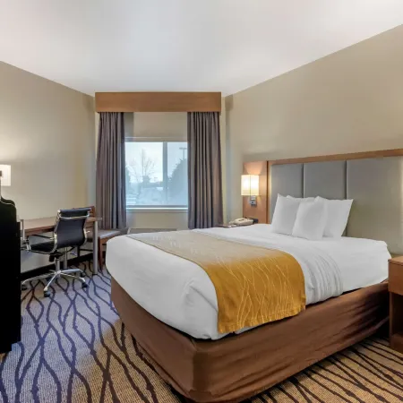 Comfort Inn & Suites Market - Airport