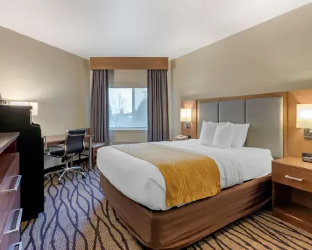 Comfort Inn & Suites Market - Airport Hotels in Cascade County