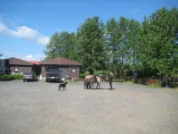 Country Dream - Langholt 2 - Park Yeri