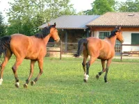 B&B Ca' Cinel Asolo Hotels in Asolo