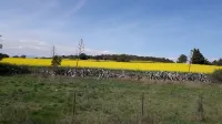 Pensio l'Avi Pep
