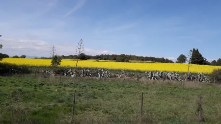 Hostal Avi Pep Отели в г. Сан-Мори