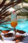 Rapo's Resort Hotel - bar