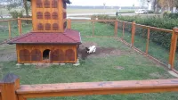 Tourist Farm Šalamun