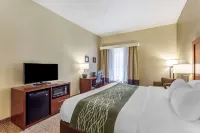 Comfort Inn & Suites - Wifi