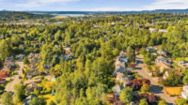 Bodur's Rustling Leaves EV Charge BBQ