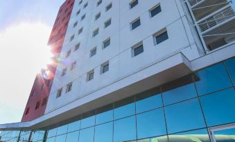 Ibis Natal