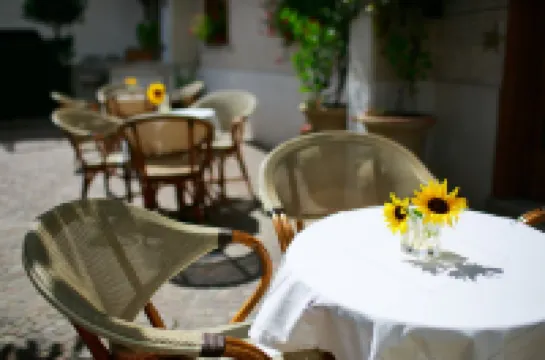 호텔 니도 베르데