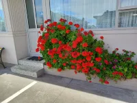 Comfort Inn Tayesta Motel Hotels in Invercargill
