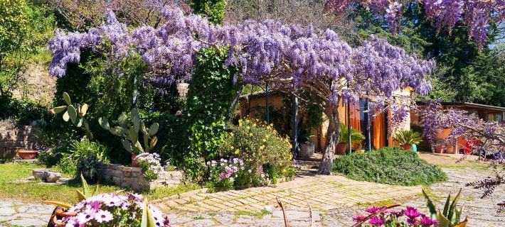 B&B Glicine Hotels in Ancona