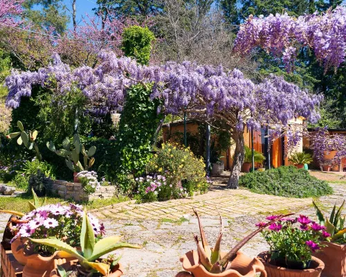 B&B Glicine Hotels in Ancona