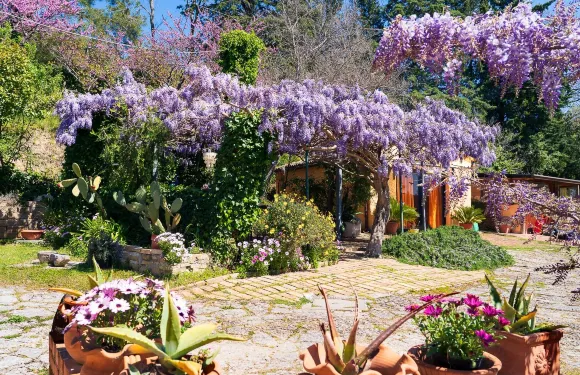 格里欣住宿加早餐旅館