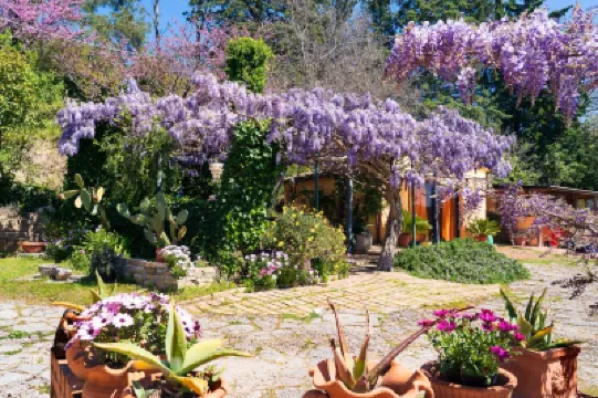 B&B Glicine Hotel di 