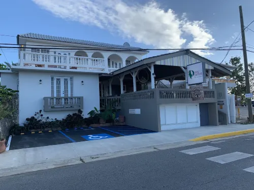 Lazy Parrot Inn Hotels in Puntas