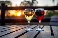 Maramba River Lodge - bar