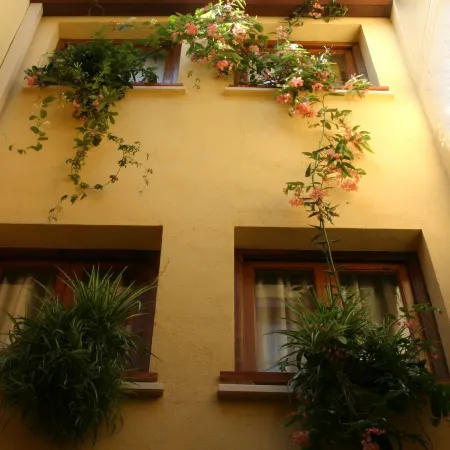 Lux San Miguel