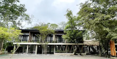 Mar Botánico - Avellanas Beach Hotel