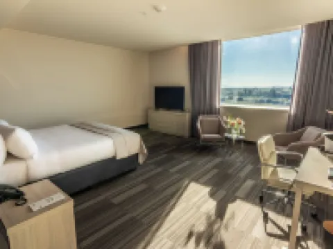 奇廉 MDS 酒店 迪吉因省酒店