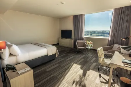 Mds Hotel Chillan Отели в г. Чильян