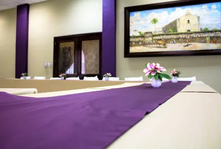 Hotel Plaza Campeche Отели рядом с достопримечательностью «Сад Ботанико Смуч-Альтун»