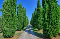 Holiday Home Casale Giulio by PosarelliVillas