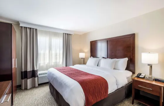 堪薩斯城-邦納斯普林斯舒適酒店