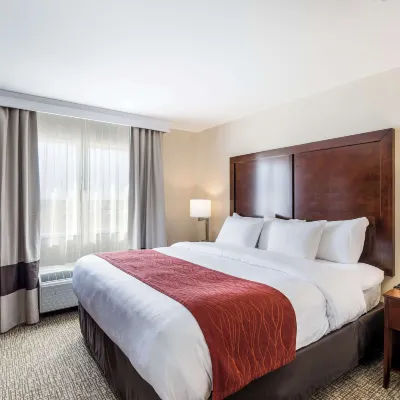 Comfort Inn Bonner Springs Kansas City Hotels near Kansas Speedway