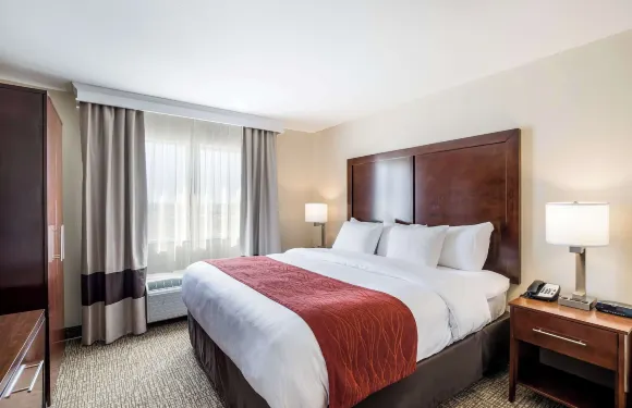 堪薩斯城-邦納斯普林斯舒適酒店