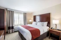 Comfort Inn Bonner Springs Kansas City - 2-Star